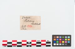 Etiketten zu Bronzearmreif (NHMW-PRAE-024966)